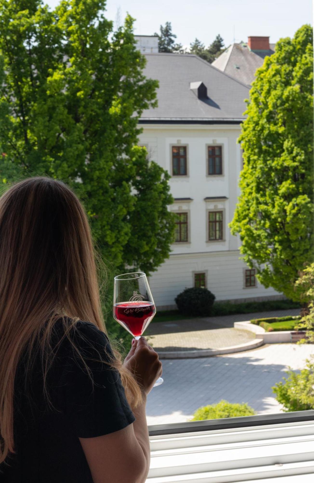 Suzy Apartman Eger Exteriör bild